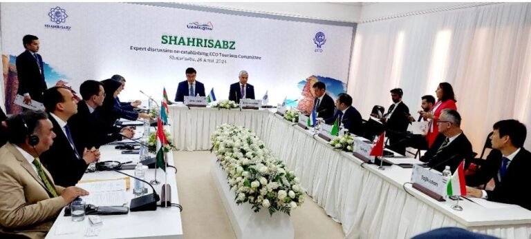 منظمة التعاون الاقتصادي تعتمد مقترحات باكستان لتطوير شركات الطيران