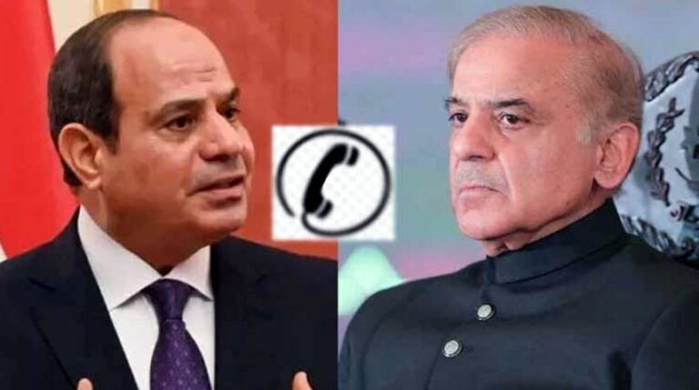 رئيس الوزراء الباكستاني للرئيس المصري: ملتزمون بدعم تفاهم وقف إطلاق النار مع الهند